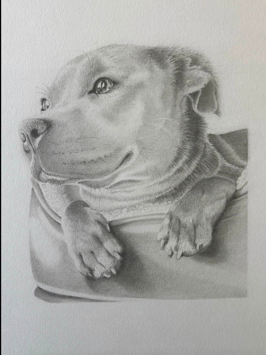 Simon Bacon Arts