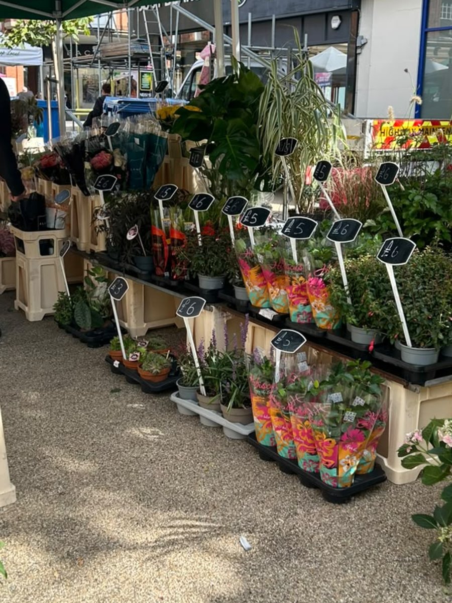 Flowers & Plants