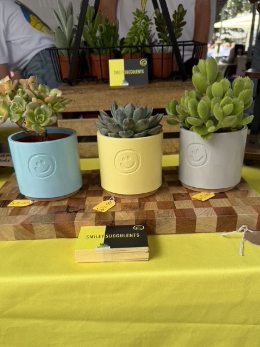 Smiley Succulents